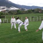 greece shotokan karate special training 2019